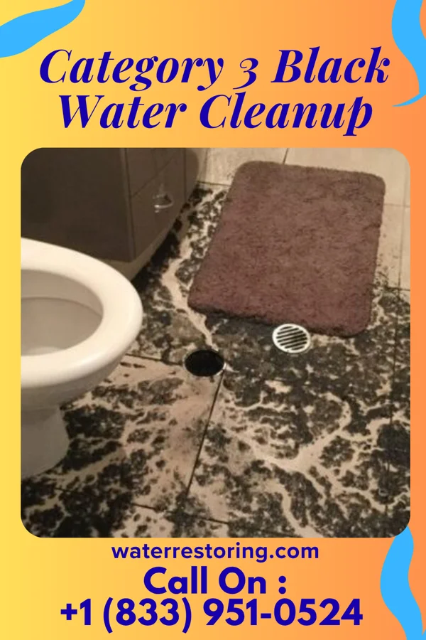 Category 3 Black Water Cleanup in Bingen, WA