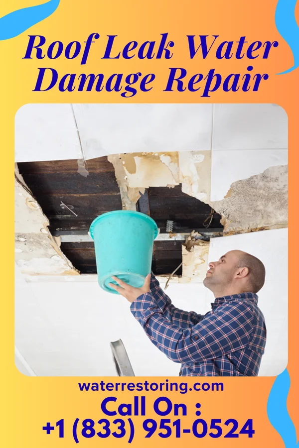 Roof Leak Water Damage Repair in Bingen, WA
